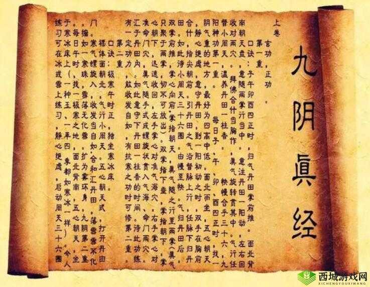 九阴真经 x88888:一部神奇的秘籍