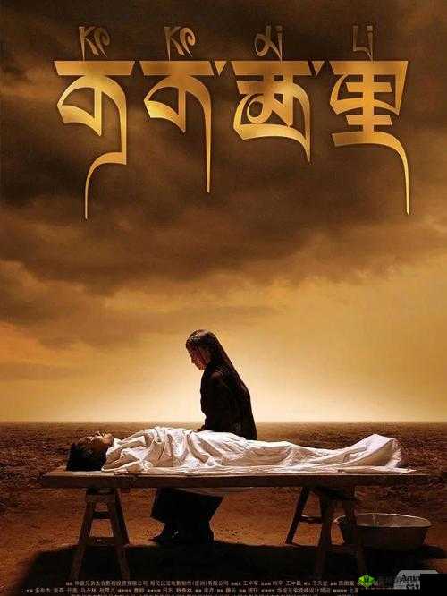 可可西里大但人文艺术:神秘与魅力的交织