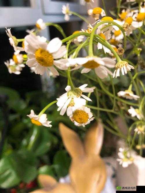 婉儿的秘密花园:一座奇幻的心灵港湾