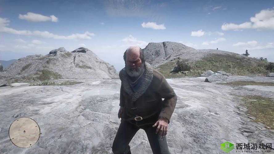 荒野大镖客 2 免费观看：畅享经典大片