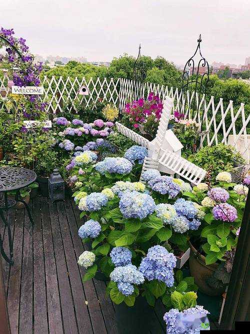 小花园部位照片:自然之美绽放