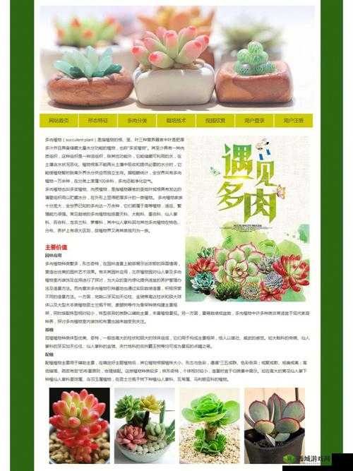 成品网站源码是 1688 吗:二者的关系探讨