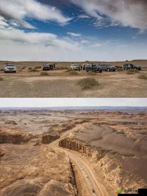 无人区骑马 BGM：荒野驰骋之激昂旋律