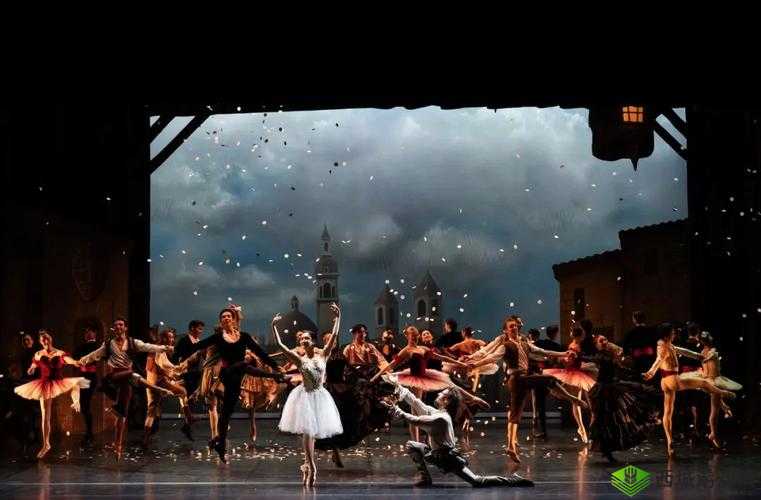 法国老人做交易森林:背后的神秘故事