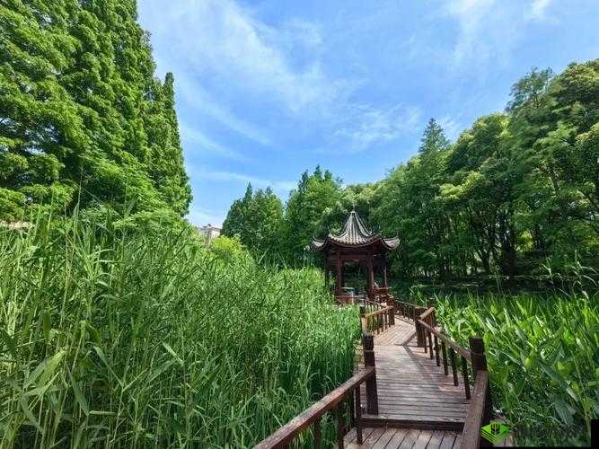 出租房里的交互康健第二部:别样体验与感悟