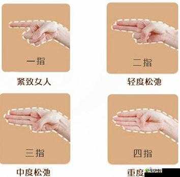 二指半属于紧还是松之探讨