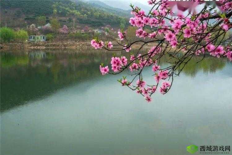 桃花洞口已是溪水潺潺：春景如画惹人醉