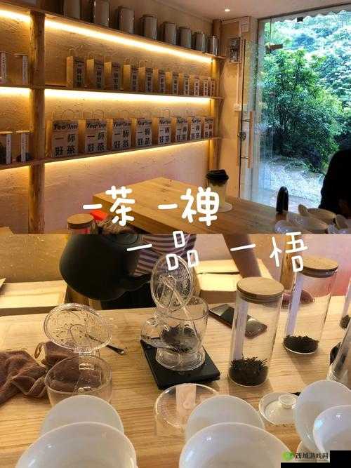 500 一晚同城约茶:尽享惬意时光