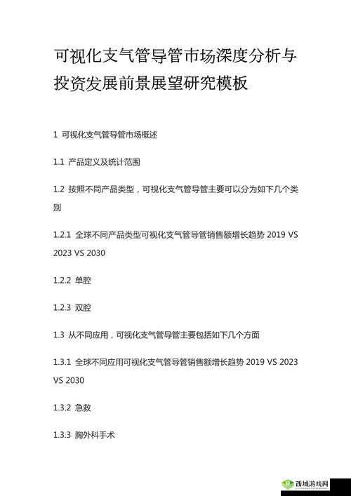 成品人精品人的投资价值:深度剖析与展望