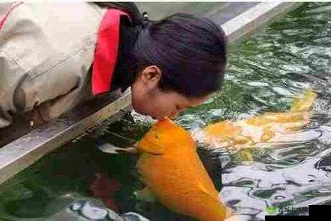 女人绝技鲤鱼喝水:神奇的表演