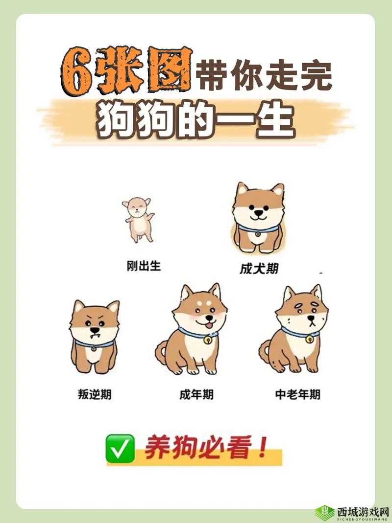 狗是真的狗:安装配置指南与实用教程