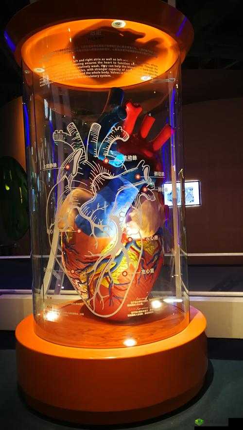 494949 大但人文艺术瓣开：探索艺术的奥秘