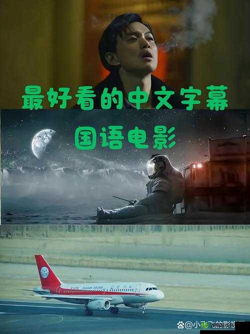 最好看的 2019 国语字幕电影:口碑爆棚