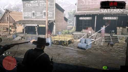 53 岁老阿姨荒野大镖客评测：深度解析