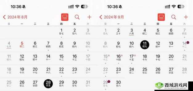 XXXXXL19Dvido 发布日期相关内容