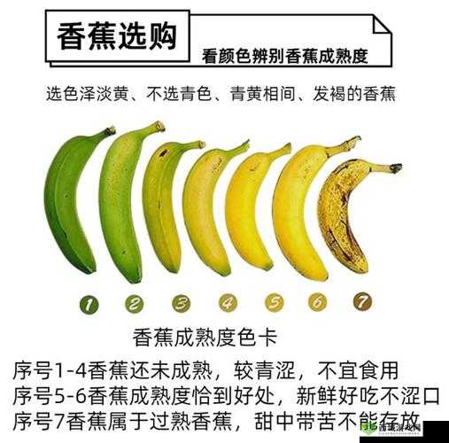 香蕉直的甜还是弯的甜：哪种更美味