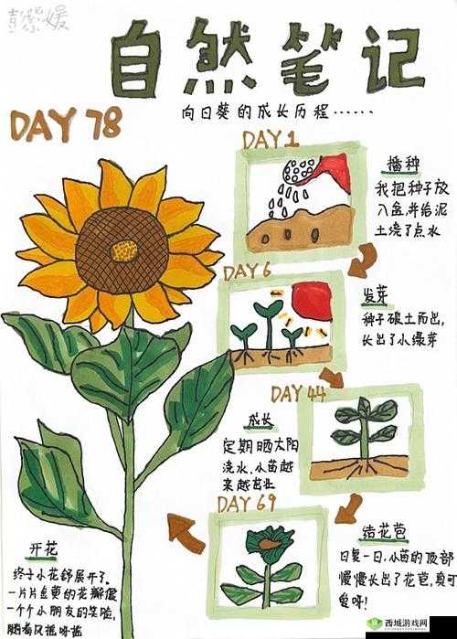 需要爸爸播种笔趣阁:相关内容介绍