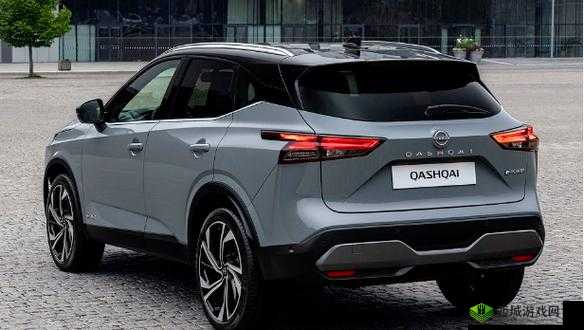 国产日产欧产网站：优质资源聚集地