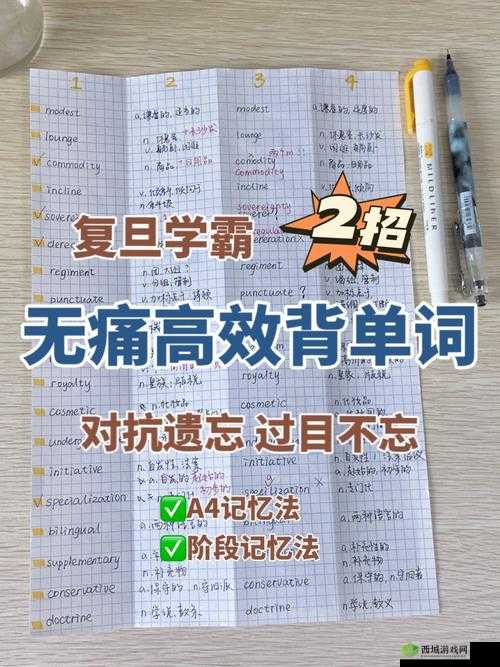 坐在学霸棍子上背单词:高效学习法的独特体验