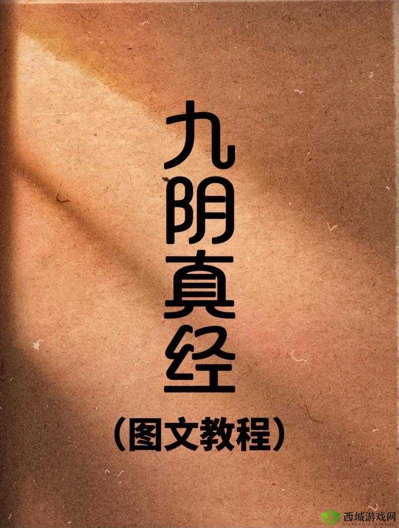 九阴真经 9yzj 网:探秘江湖武学秘籍