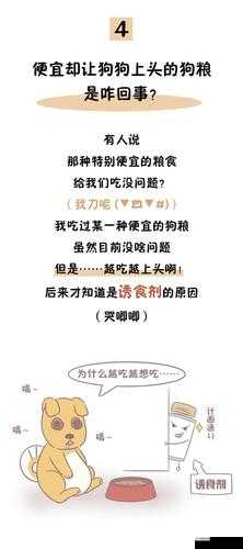 人狗配方大全图片:趣味解读