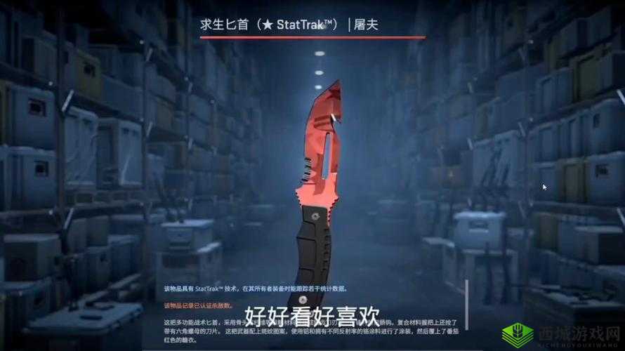 csgo 暴躁狂人高清大片：暴力美学的极致演绎