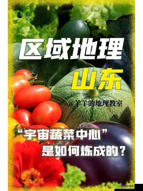 宇宙蔬菜电脑版下载链接及详细安装指南