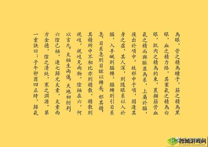 探索江湖奇景，领略冒险之乐——九阴真经 3D剧情副本玩法全揭秘