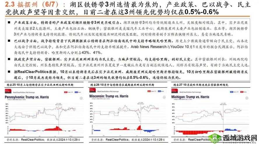 扦插 BB 有什么好处：深度解析与实用价值