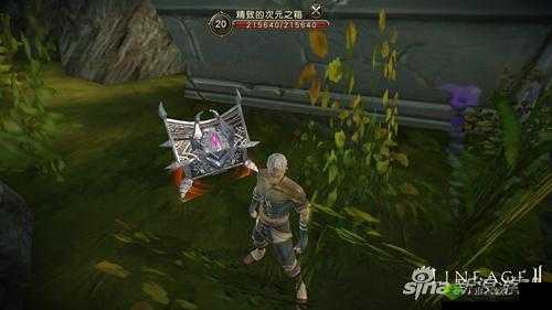 探索天堂 2 手游次元之箱,揭开最后一幅藏宝图的神秘面纱