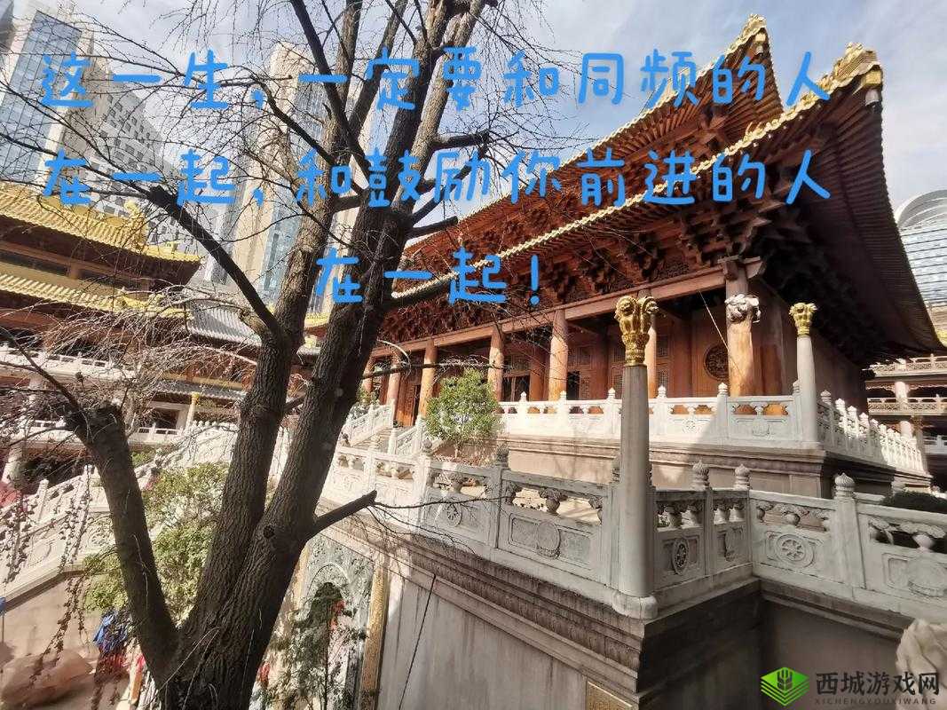 两人一起到达巅峰的几率大吗:携手共进还是分道扬镳