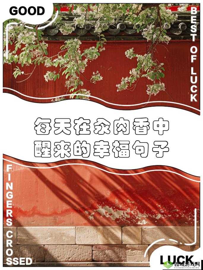 每天都在汆肉中醒来江山:肉香四溢的奇幻世界