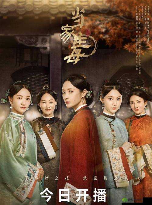 当家主母 Hgl：一部精彩的剧作