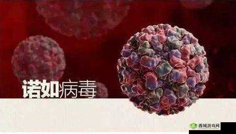 果冻传染煤 2024：令人震惊的病毒爆发