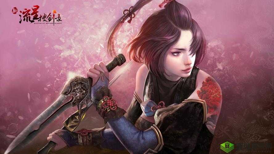 《新流星搜剑录》:古风江湖,搜剑求真,流星闪耀