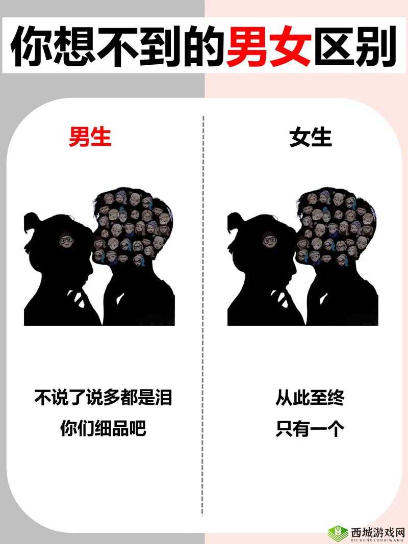 男女之间的差异:探讨性别差异的奥秘