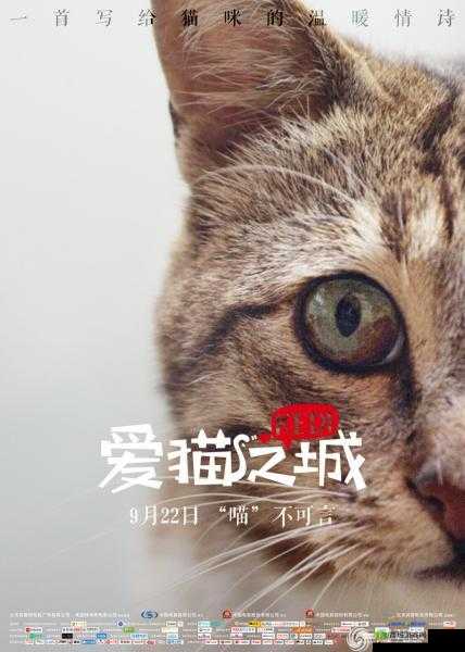 《灵猫传》特色售卖方案及深度推广思路全面解读:打造独特猫文化产品,引领市场新潮流