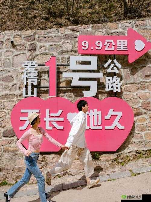 老周与张琳乘坐公交车的故事