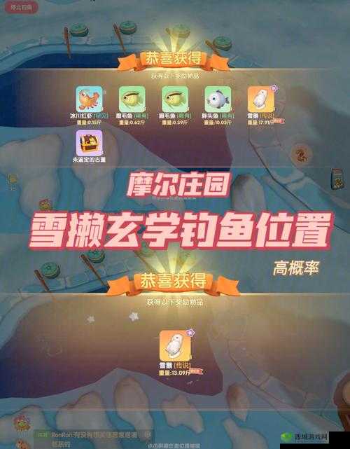 《摩尔庄园新宠:雪獭,超全饲养攻略》