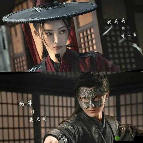 暗卫营大型 HPN：神秘力量的集结地