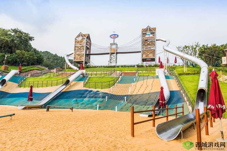 ao3 官方网站进入游乐网:探索新奇世界