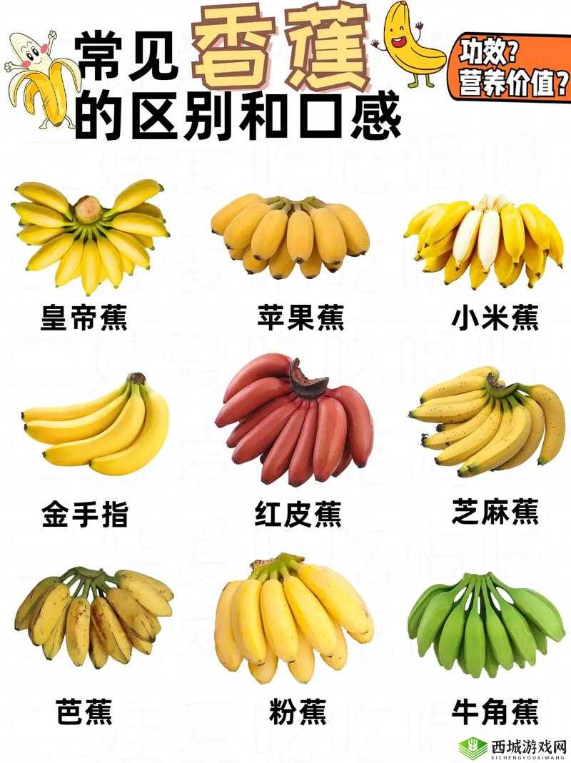 进口香蕉和国产香蕉营养有何区别