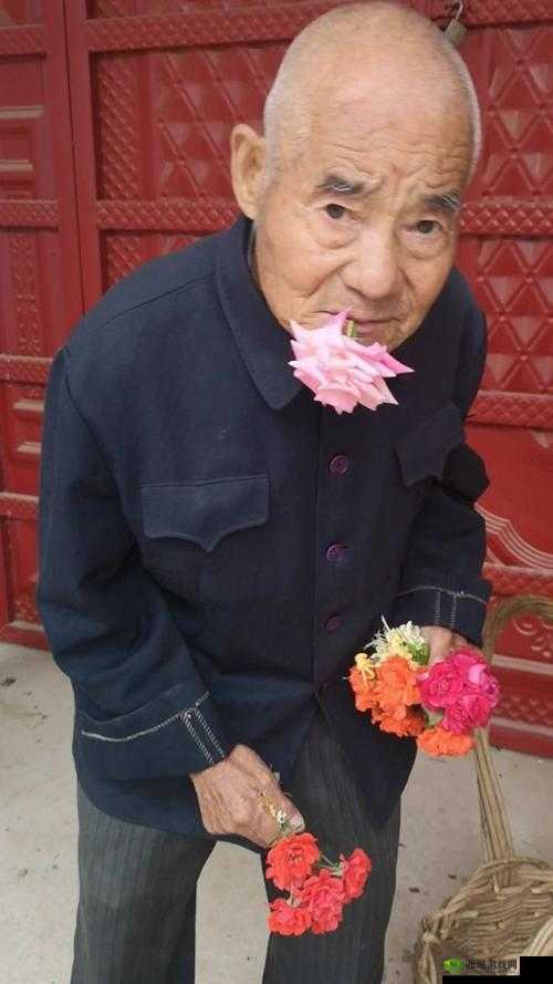 老王头的春天林初晴最火的一句:桃花笑春风