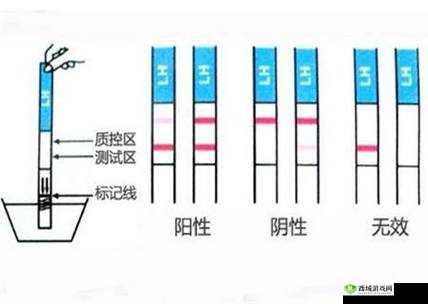 一深一浅什么意思：探寻其背后的含义