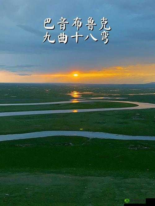 桂花婶是九曲十八弯:其故事丰富多彩