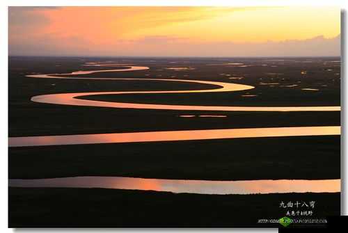 桂花婶是九曲十八弯:背后的故事