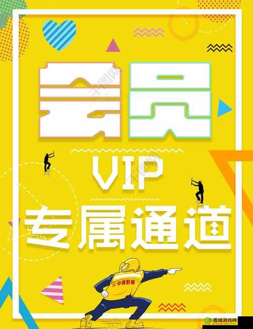 神秘通道 vip5:专属特权等你来