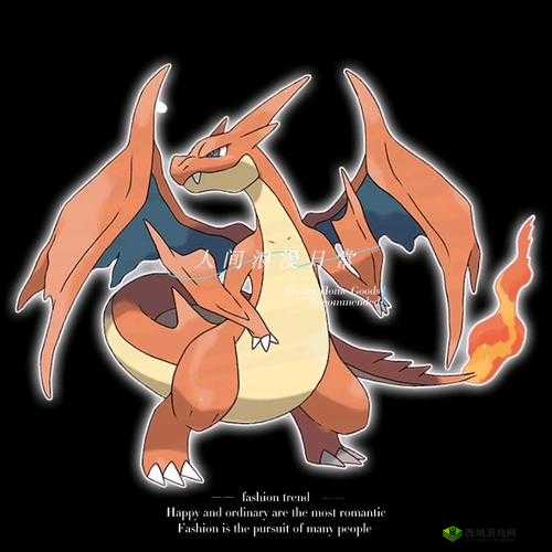 神奇宝贝之漆黑的魅影中独特的小火龙