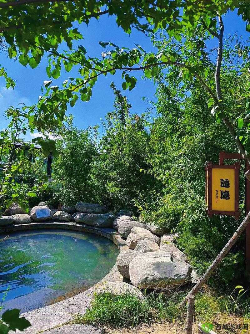 YW1168 又换到哪个了:新去处探寻