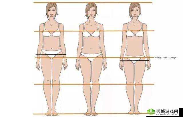 亚洲人正常比例是 46 吗:探讨其真实性